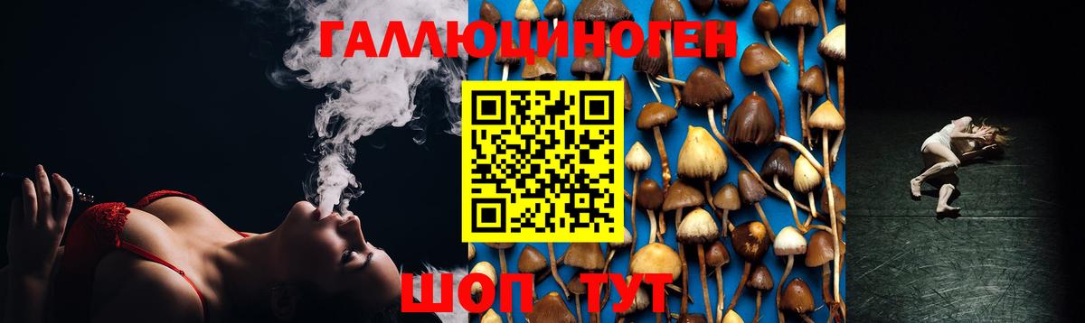 Галлюциногенные грибы ЛСД  Вход с VPN  Выборг 